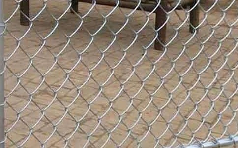 timg (8).jpg timg (8).jpg